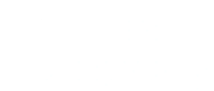 Fini logo
