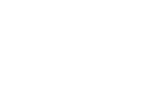 Minerita logo