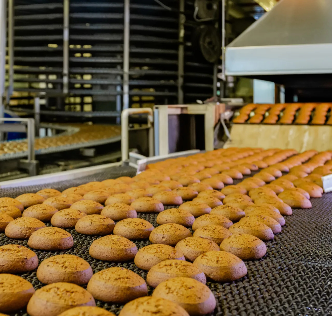 Form Section Background Image