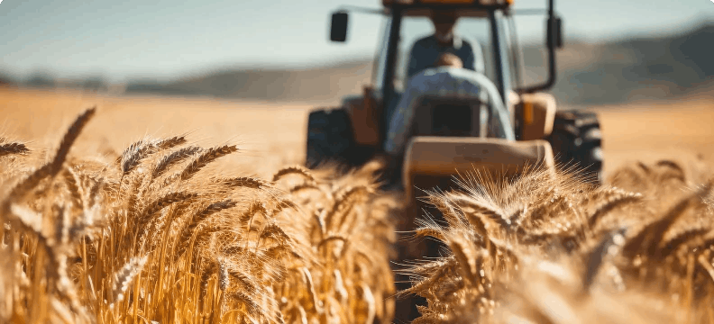 AGROINDUSTRIA