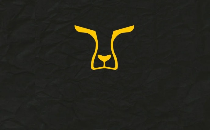 Programa selecionado