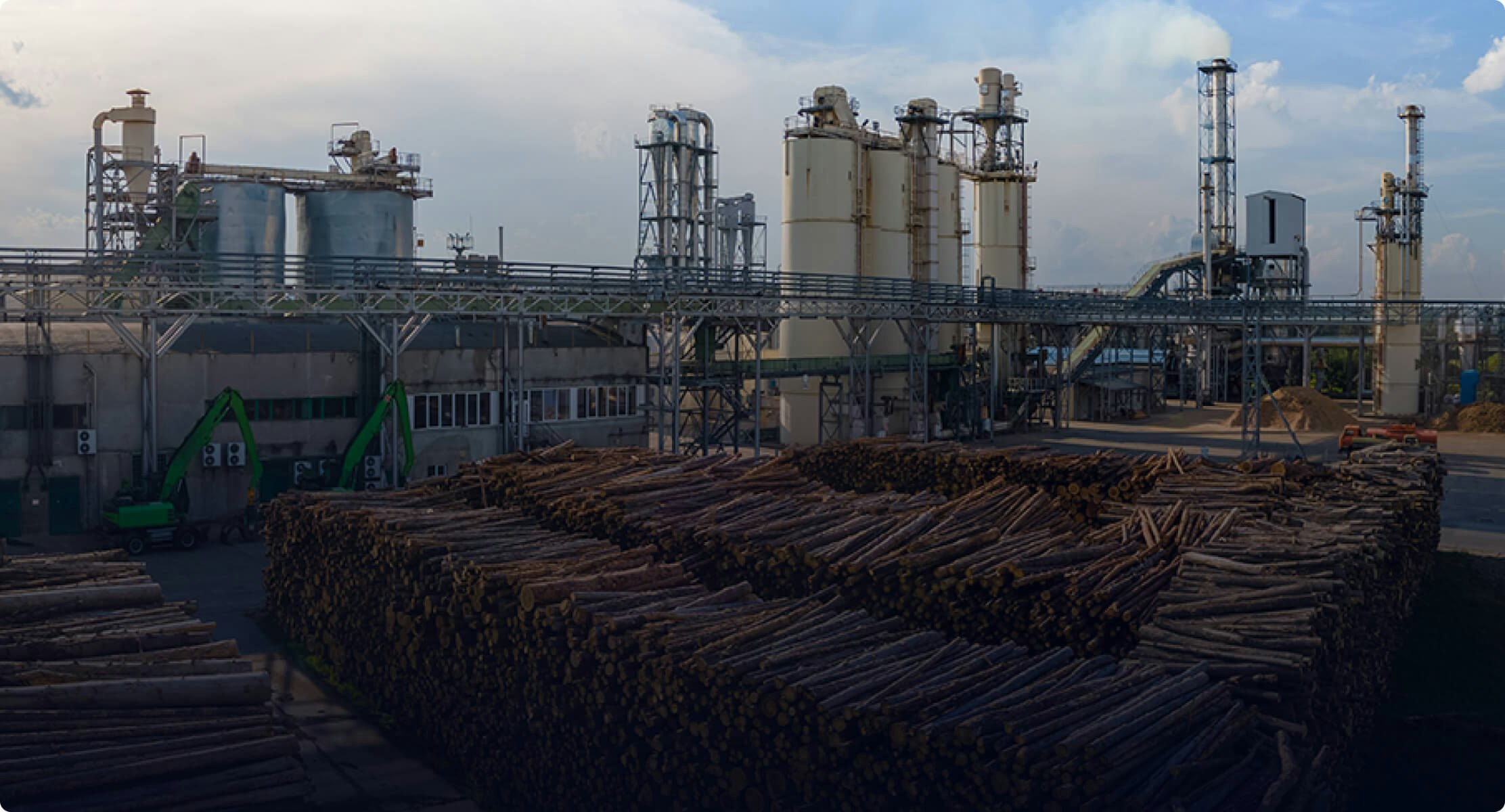 The World's Largest Pulp and Paper Producer