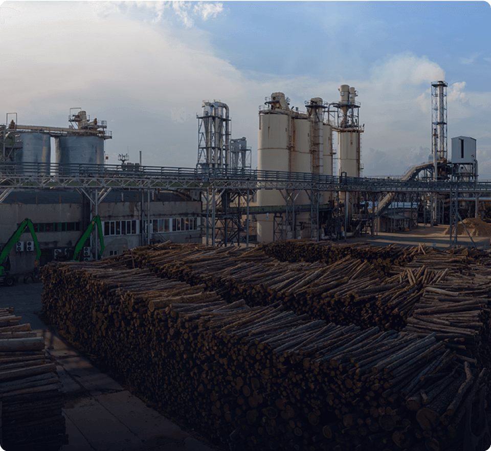 maior produtor de celulose é TRACTIAN