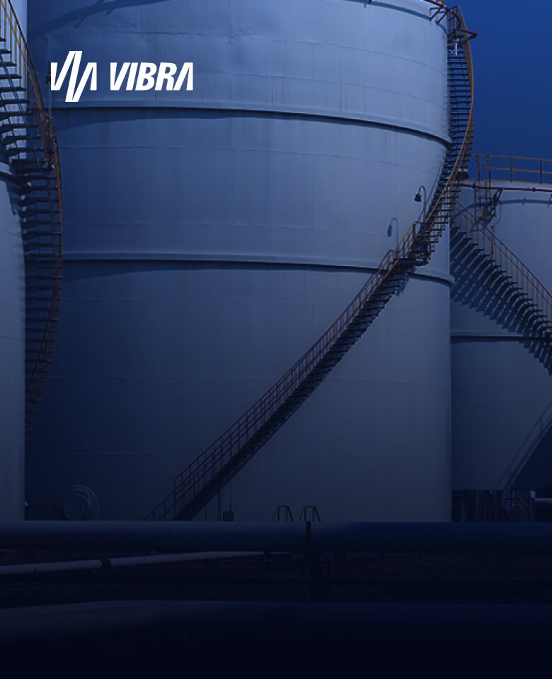 Como a Vibra conseguiu retorno de 14x investindo em monitoramento online