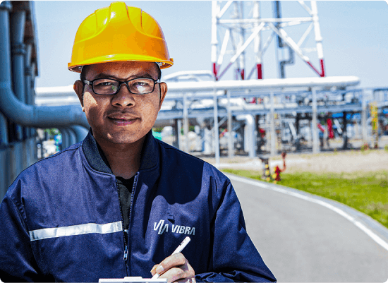 resultados de vibra energia