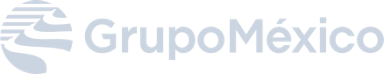 CustomerGrupoMexico