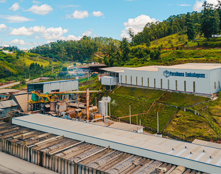 Paraibuna Background