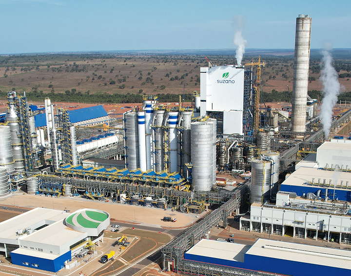 Suzano Background