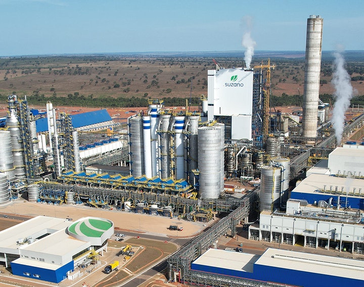 Suzano Background